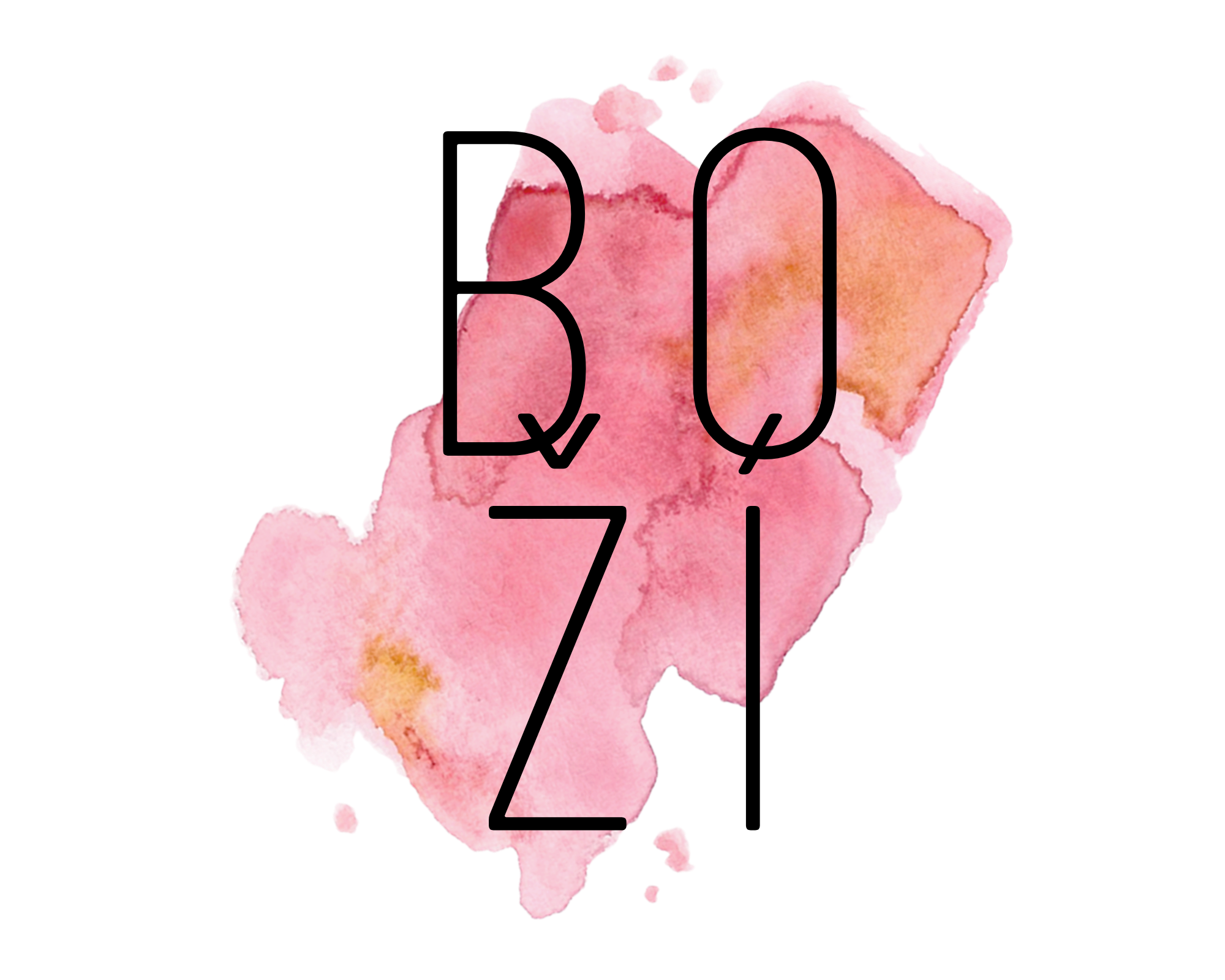Logo vybersitonej